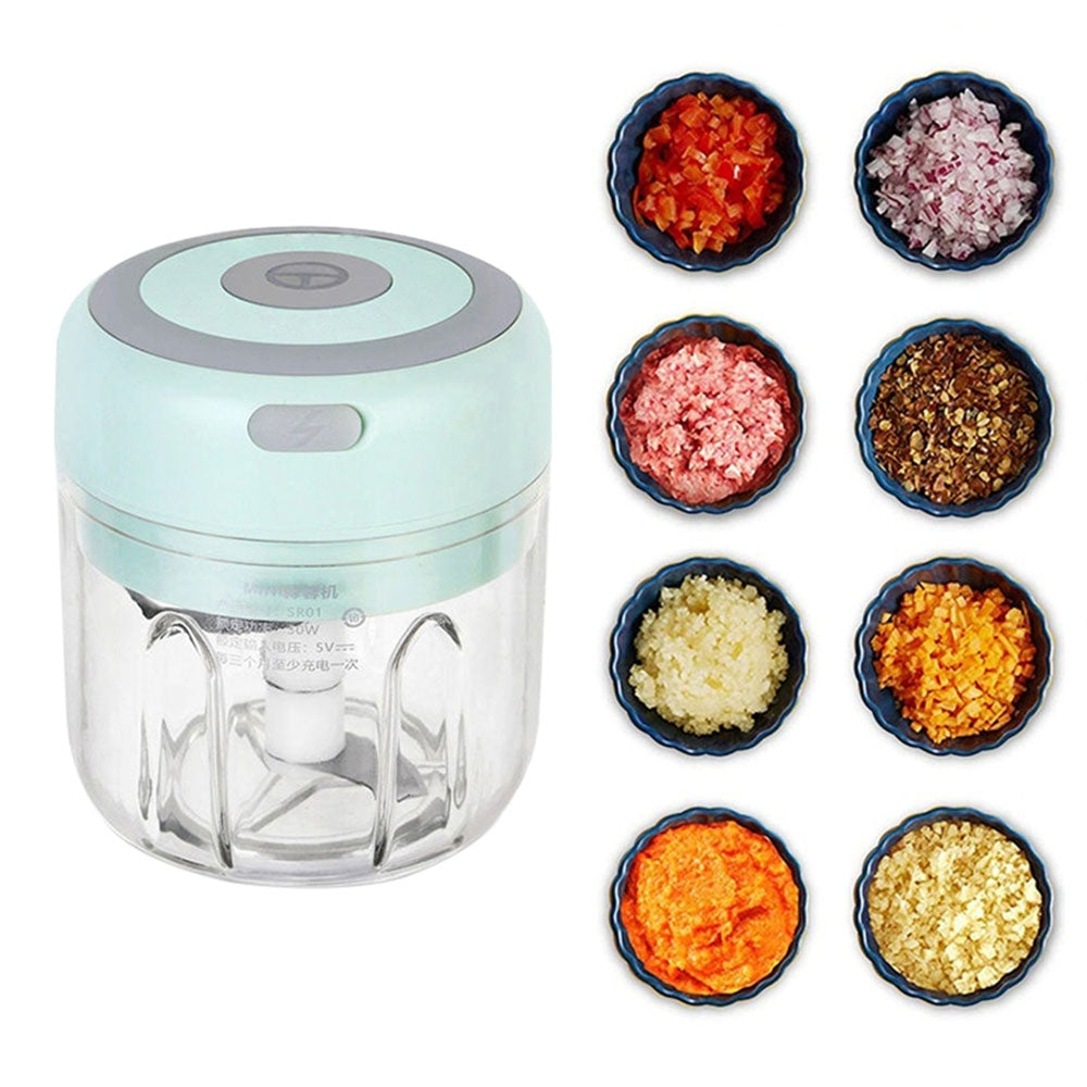 250ML Electric Garlic Food Chopper Vegetable Chopper Grinder Blender Crusher+100ML Cup